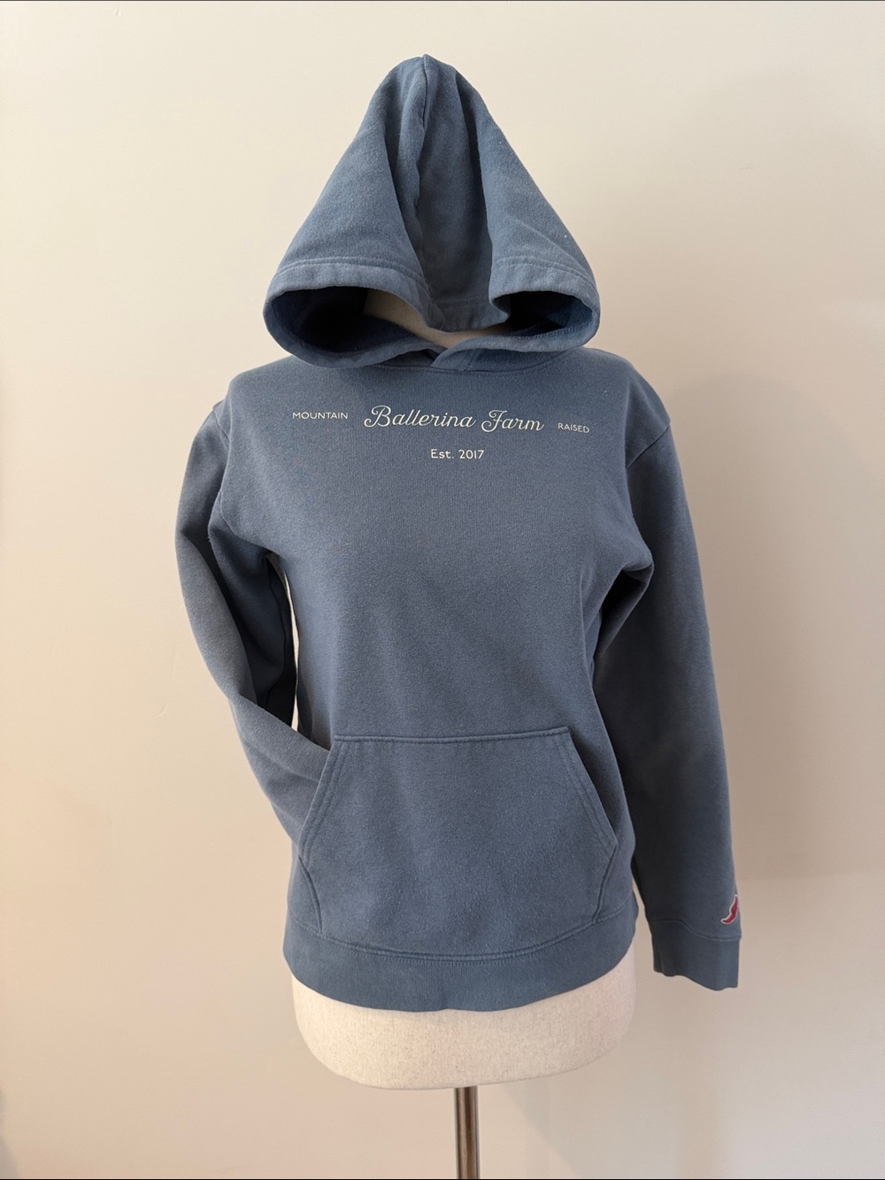 Youth Blue Hooded Pullover